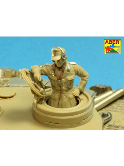 Aber Models - Pz.Kpfw. VI Ausf.E ( i.Kfz.181) Tiger I -  s.PzAbt. 501 in Tunisia