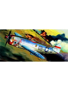   Academy -  Academy 12491 - P-47D "BUBBLE-TOP" (1:72)