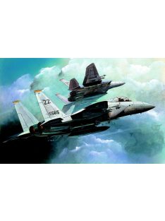 Academy -  Academy 12609 - F-15C (1:144)