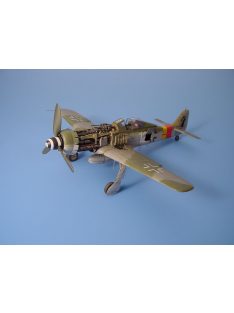 Aires - Focke-Wulf Fw-190 D-9 Super Detailset