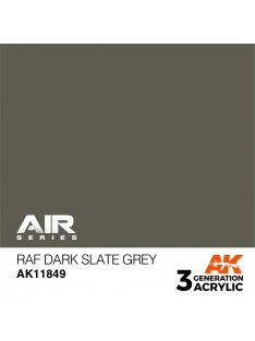 AK Interactive - RAF Dark Slate Grey