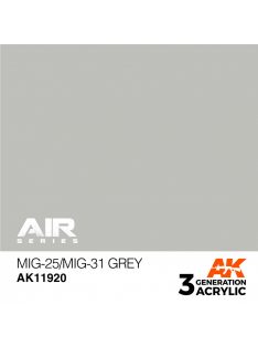 AK Interactive - MiG-25/MiG-31 Grey