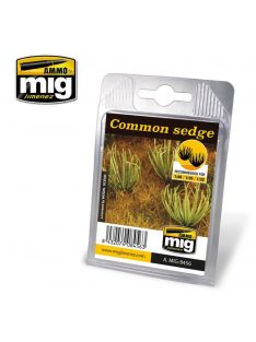 AMMO - Common Sedge