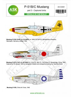 Art Scale - 1/48 P-51B/C Mustang part 3 - Captured birds