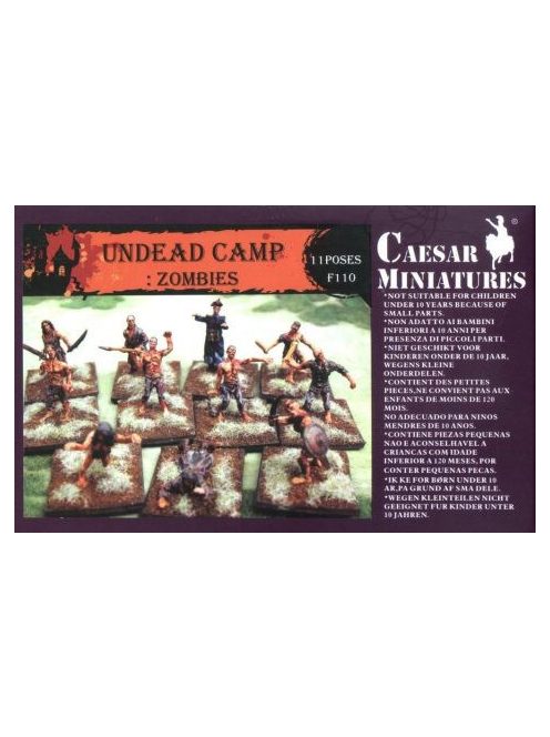 Undead Camp: Zombies