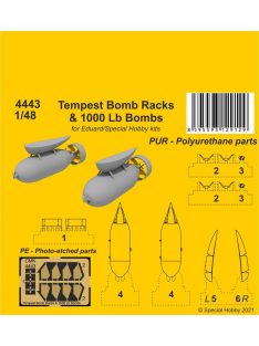 CMK - Tempest Bomb Racks & 1000 Lb Bombs