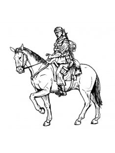 CMK - US mounted soldier in Afganistan (1 fig & horse)