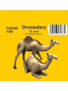 CMK - 1/48 Dromedary (2 pcs)