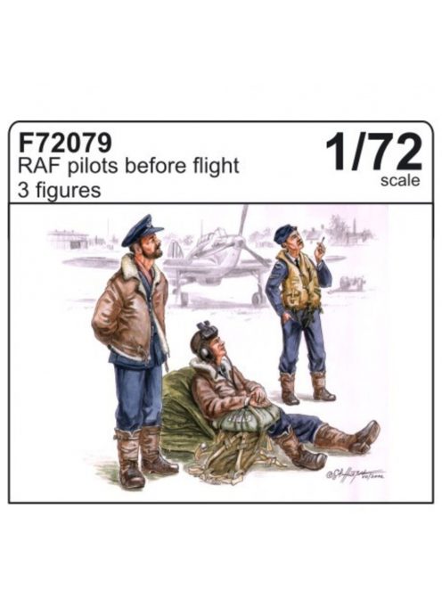 CMK - RAF Piloten