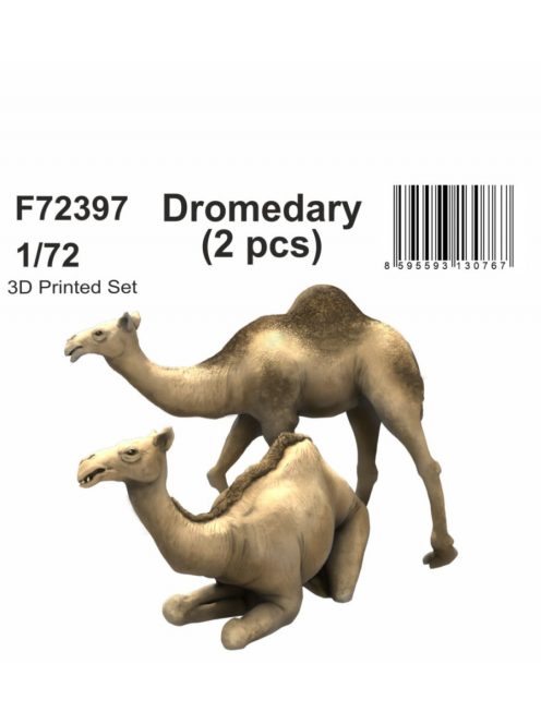 CMK - 1/72 Dromedary (2 pcs)