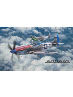 Eduard - ACES OF THE EIGHTH DUAL COMBO 1/72 EDUARD-LIMITED