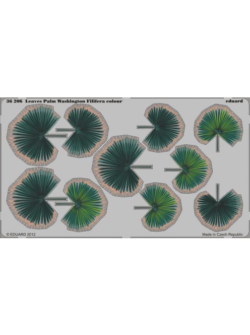 Eduard - Leaves Palm Washington Filifera colour 