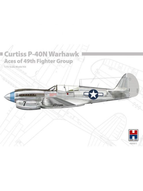 Hobby 2000 - P-40N Warhawk Aces of The 49th Fighter Group