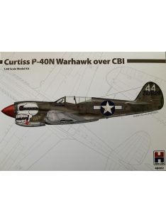 Hobby 2000 - Curtiss P-40N Warhawk over CBI