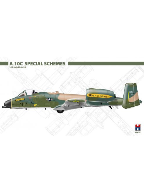 Hobby 2000 - A-10C Special Schemes
