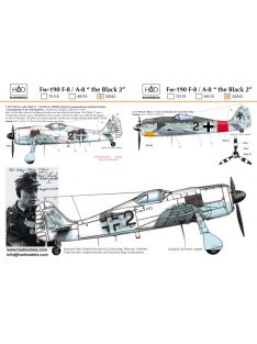 HAD models - FW-190 F-8 (Black 2)