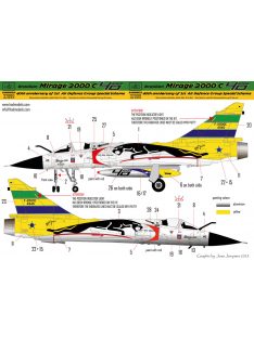   HAD models - Mirage 2000 C Ayrton Senna 25th Anniversayry painting