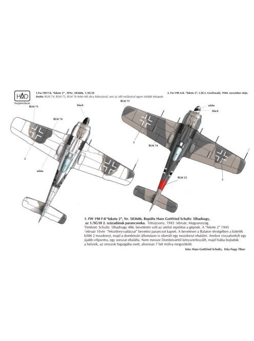 HAD models - Fw-190 F-8 / A-8  (Luftwaffe "black 2")