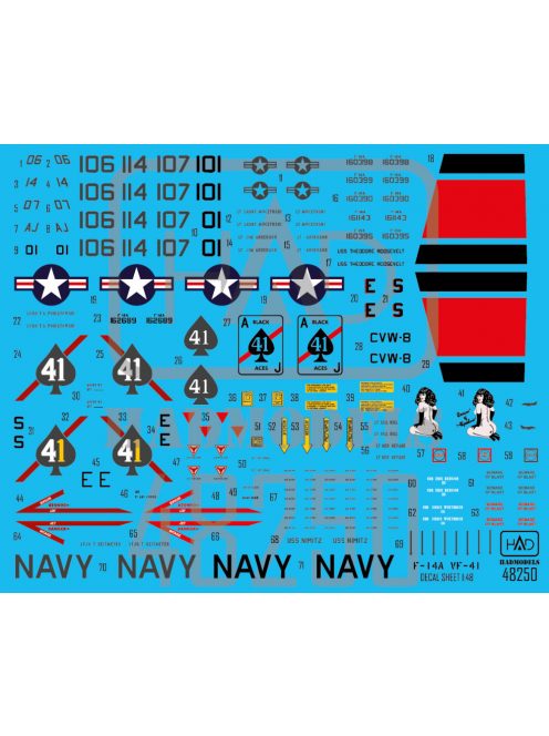 HAD models - F-14A "Black Aces" Final countdown