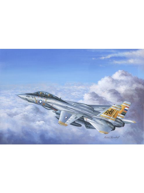 Hobbyboss - F-14A Tomcat