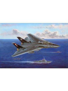 Hobbyboss - F-14B Tomcat