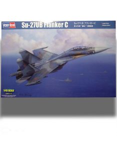 Su-27UB Flanker C