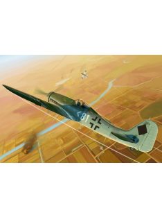 Hobbyboss - Focke-Wulf Fw 190D-11