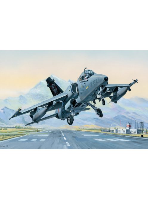 Hobbyboss - Amx Ground Attack Aircraft