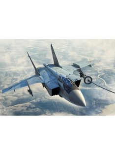 Hobbyboss - Russian Mig-31B/Bm Foxhound