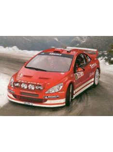 Heller - Peugeot 307 Wrc