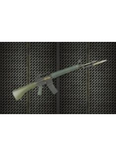 Hobby Fan - Resin arms R.O.C. T65k2 RIFLE