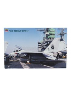   Hasegawa - GRUMMAN F-14D TOMCAT CVW-14 MILITARY AIRPLANE 1974 /