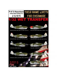   HGW Models - 1/32 P-47 D Razorback OVER NEW GUINEA Pt.2 - Wet Transfers