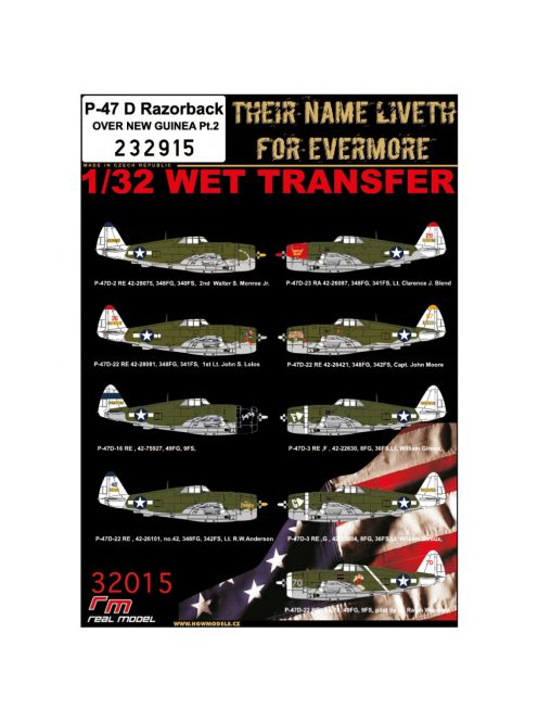 HGW Models - 1/32 P-47 D Razorback OVER NEW GUINEA Pt.2 - Wet Transfers