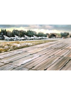 ICM - Soviet PAG-14 Airfield Plates 32 pcs