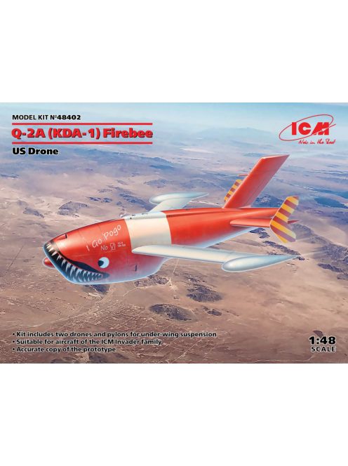 ICM - Q-2A (XM-21, KDA-1) Firebee, US Drone (2 airplanes and pilons)