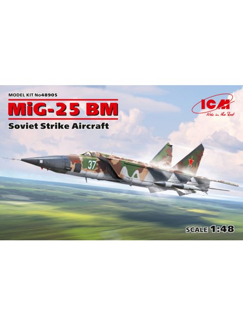 ICM - MiG-25 BM, Soviet Strike Aircraft