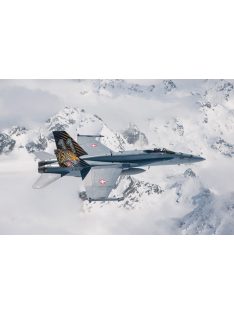 Italeri - F/A-18 Hornet Tiger Meet 2016