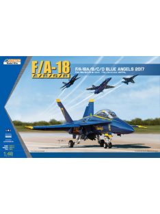 USN BLUE ANGLE 2017 F/A-18A/B/C/D