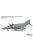 Meng Model - McDonnell Douglas F-4E Phantom II