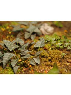 Matho Models - Plants & Weeds E