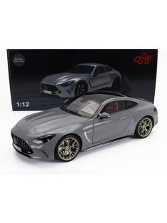 NZG - MERCEDES BENZ AMG GT63 (C192) 4-MATIC 2024 ALPIN GREY