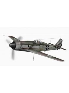 Planet Models - Focke Wulf Fw 190D-14