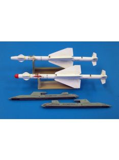 Plus Model - Russian missile R-24T