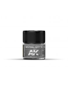 AK Interactive - Neutral Grey 43 10Ml