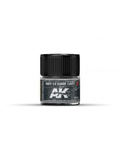 AK Interactive - Amt-12 Dark Grey 10Ml