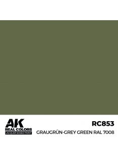 AK Interactive - Graugrün-Grey Green RAL 7008 17 ml.