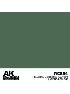   AK Interactive - Hellgrau-Light Grey RAL 7009 (interior color) 17 m