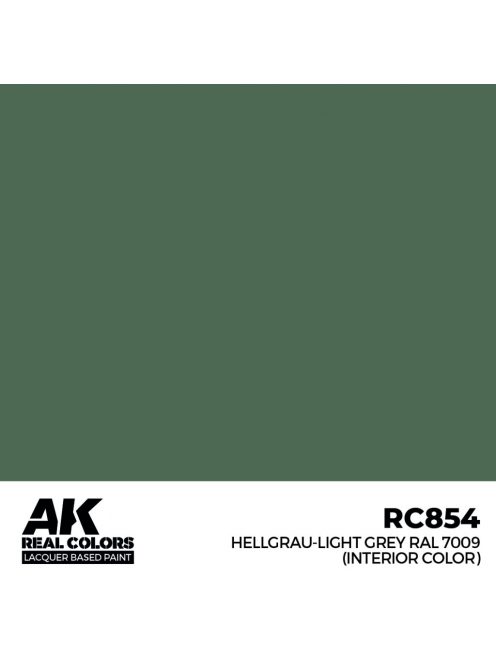 AK Interactive - Hellgrau-Light Grey RAL 7009 (interior color) 17 m