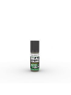 AK-Interactive - RC876 Russian Green Protective 4BO 17 ml.